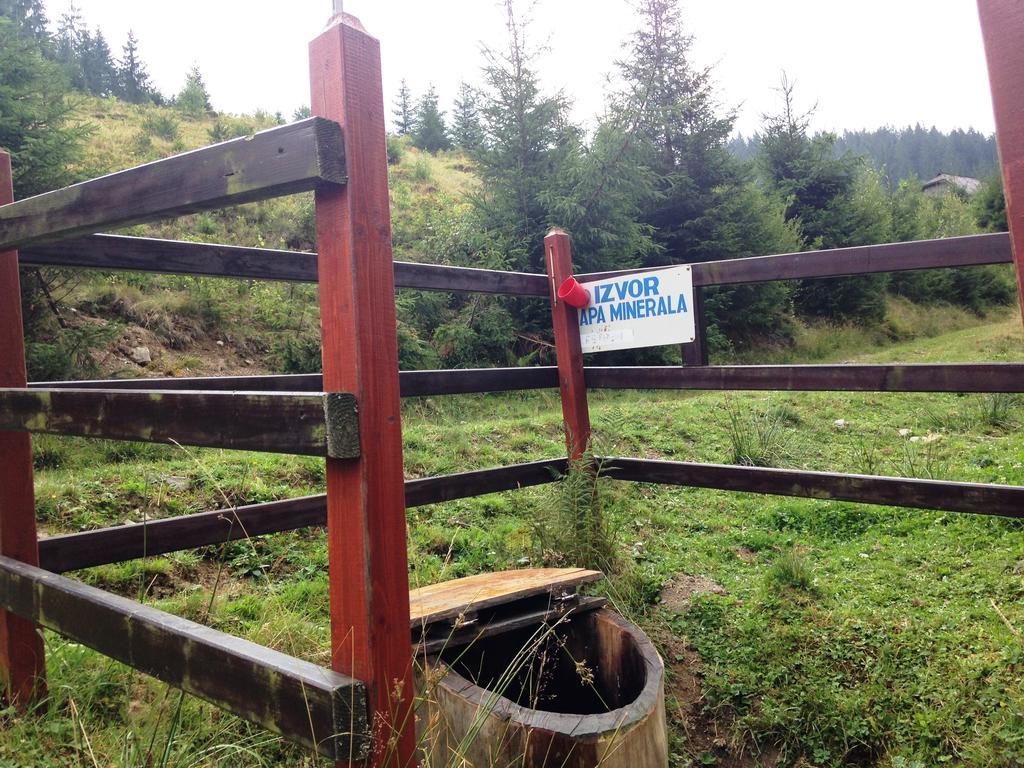 Pensiunea Gentiana Vatra Dornei Bagian luar foto