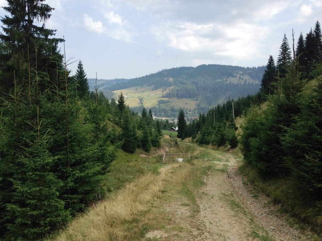 Pensiunea Gentiana Vatra Dornei Bagian luar foto