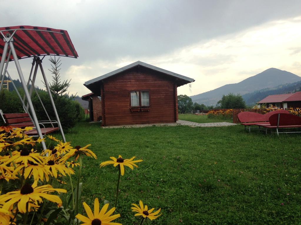 Pensiunea Gentiana Vatra Dornei Bagian luar foto