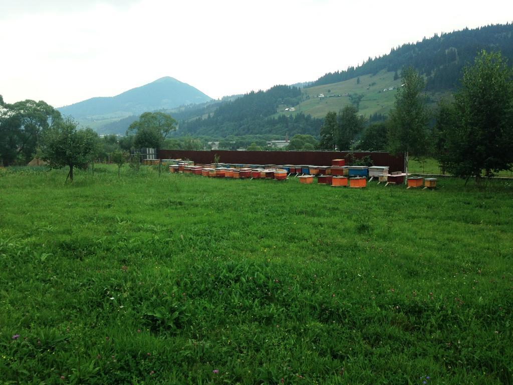 Pensiunea Gentiana Vatra Dornei Bagian luar foto