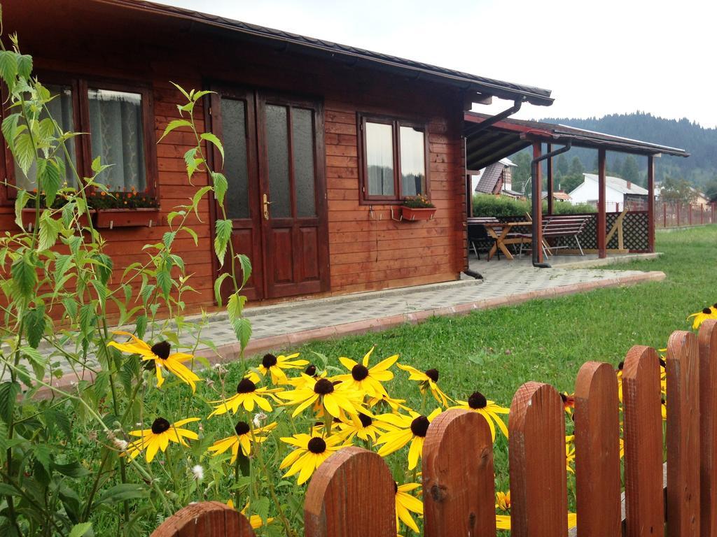 Pensiunea Gentiana Vatra Dornei Bagian luar foto