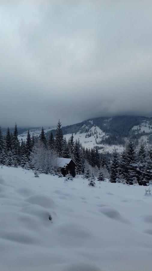 Pensiunea Gentiana Vatra Dornei Bagian luar foto
