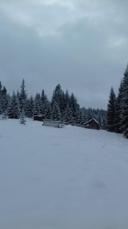 Pensiunea Gentiana Vatra Dornei Bagian luar foto